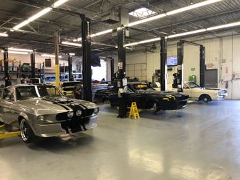 Shelby Garage Mustangs
